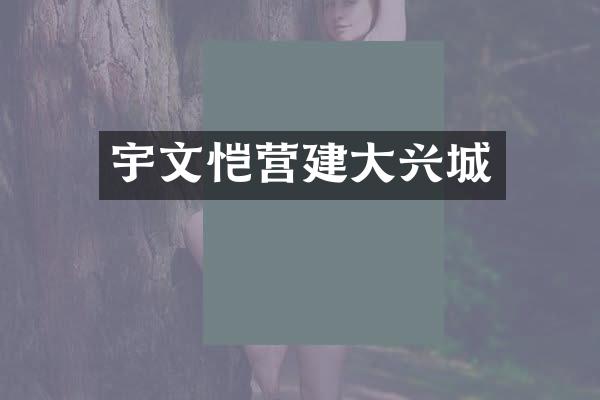 宇文恺营建大兴城