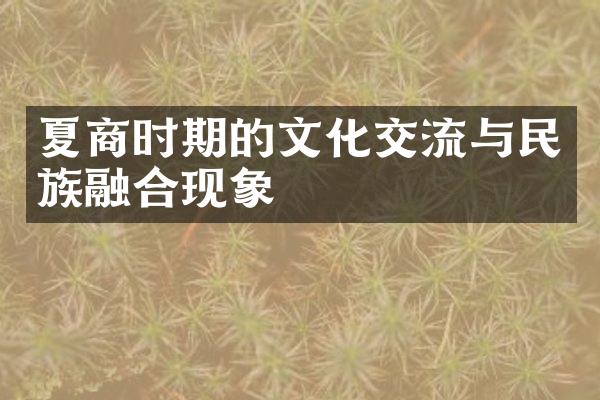 夏商时期的文化交流与民族融合现象