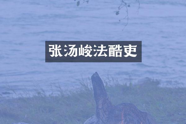 张汤峻法酷吏