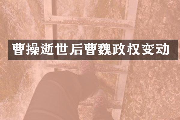 曹操逝世后曹魏政权变动