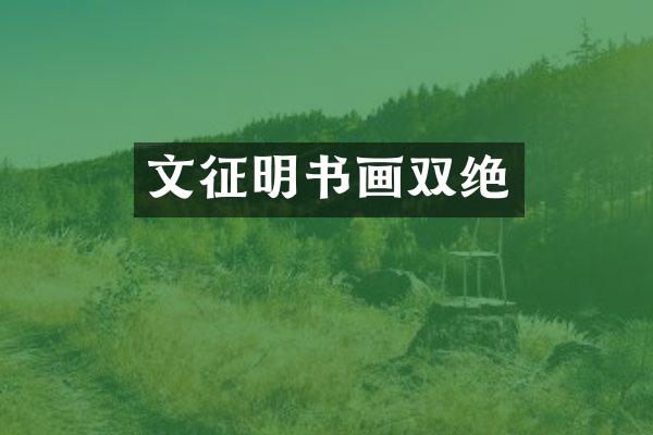 文征明书画双绝