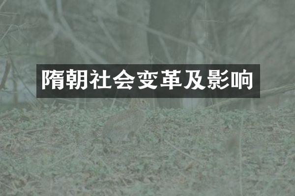 隋朝社会变革及影响