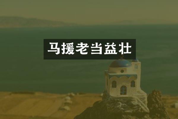 马援老当益壮