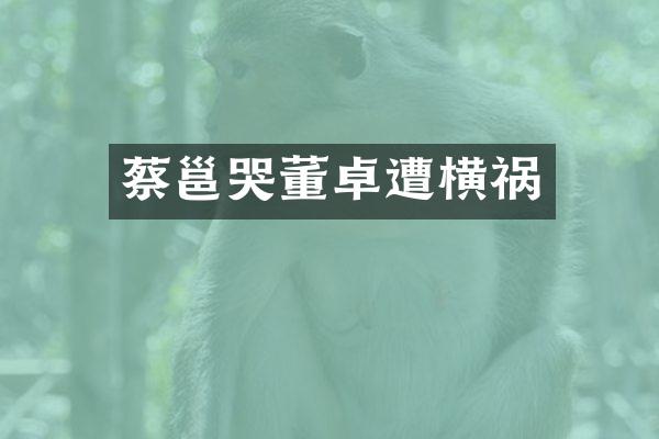 蔡邕哭董卓遭横祸