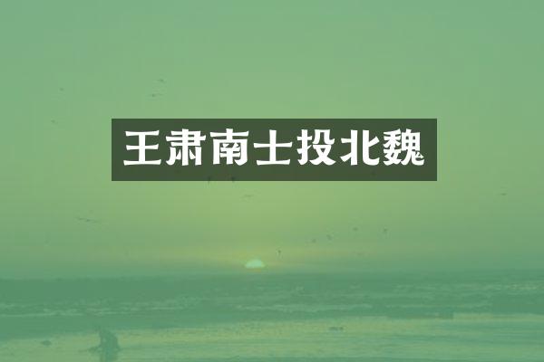 王肃南士投北魏