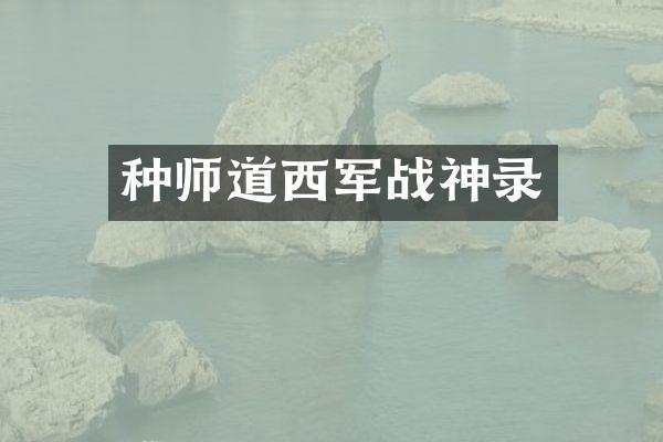 种师道西军战神录