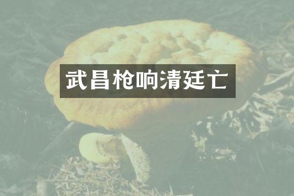 武昌响清廷亡