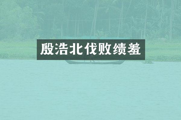 殷浩北伐败绩羞
