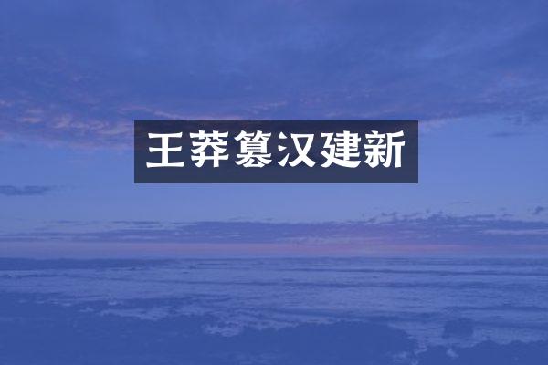 王莽篡汉建新
