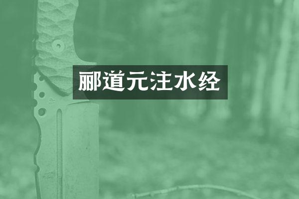郦道元注水经
