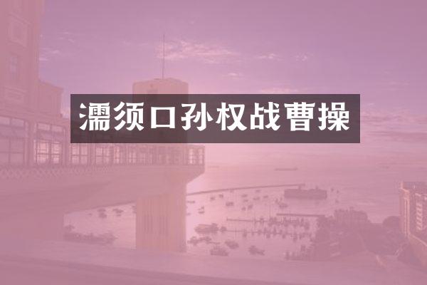 濡须口孙权战曹操
