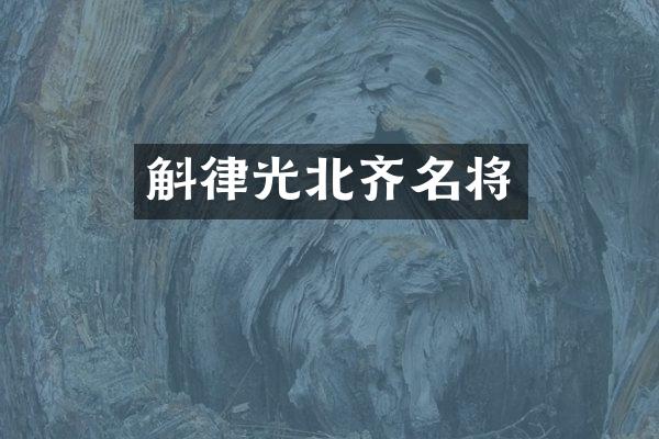 斛律光北齐名将