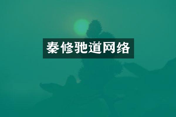秦修驰道网络