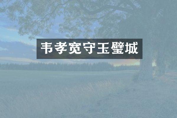韦孝宽守玉璧城