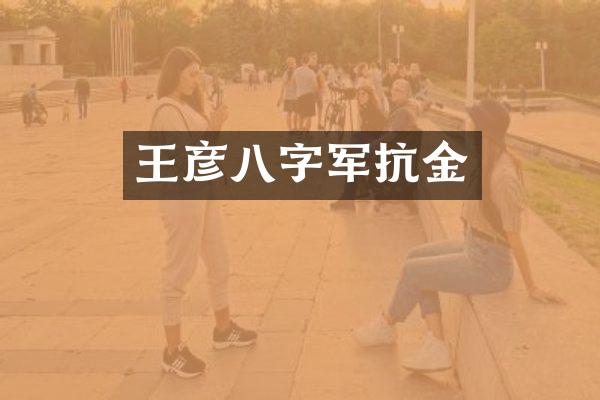 王彦八字军抗金