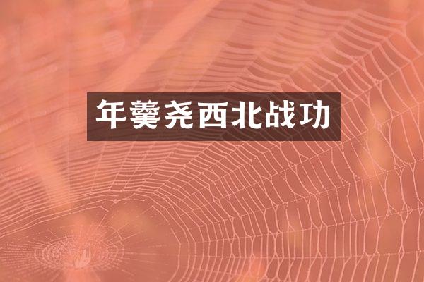 年羹尧西北战功