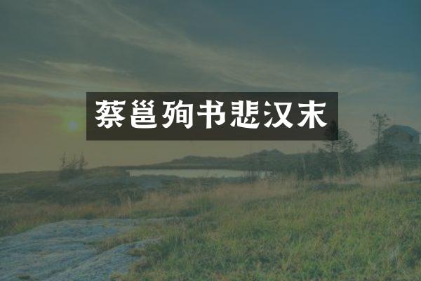 蔡邕殉书悲汉末