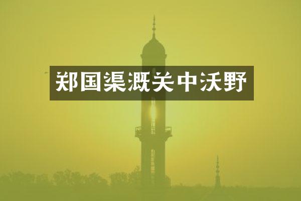 郑国渠溉关中沃野