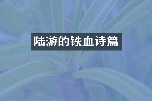 陆游的铁血诗篇