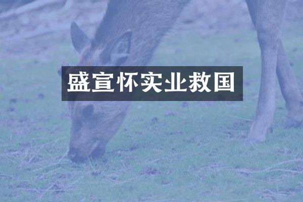 盛宣怀实业救国