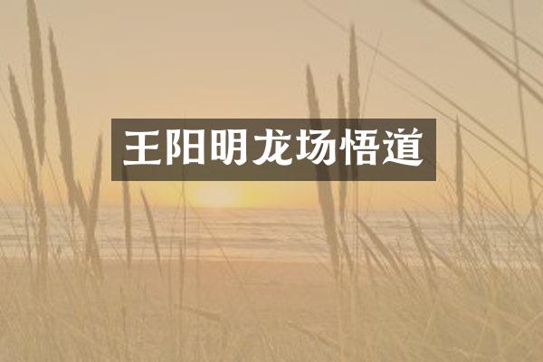 王阳明龙场悟道