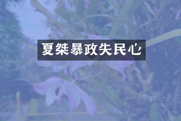 夏桀暴政失民心