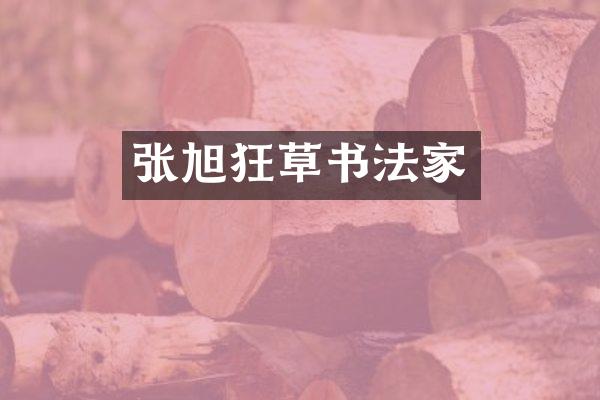 张旭狂草书法家