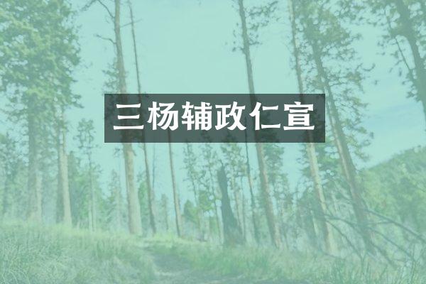 三杨辅政仁宣