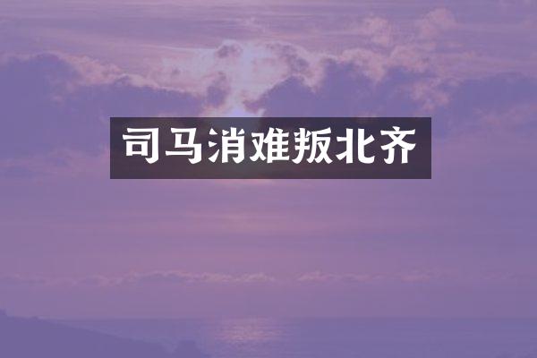 司马消难叛北齐