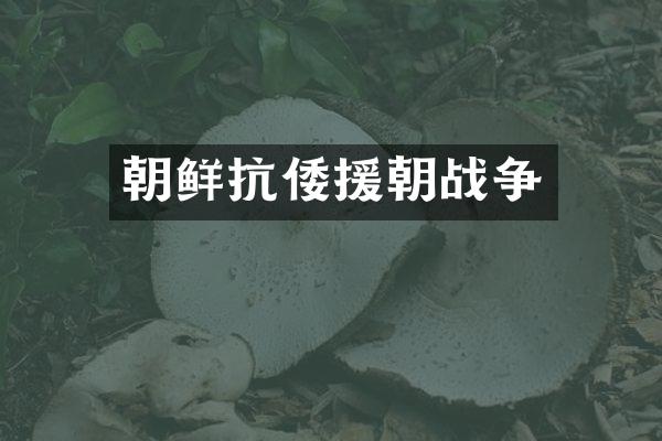 朝鲜抗倭援朝战争