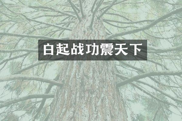 白起战功震天下