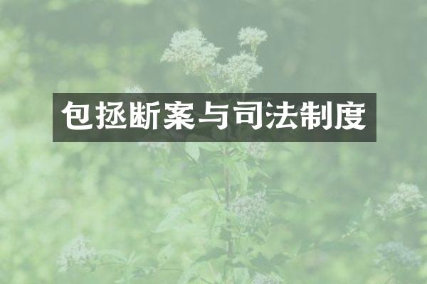 包拯断案与司法制度