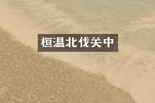 桓温北伐关中