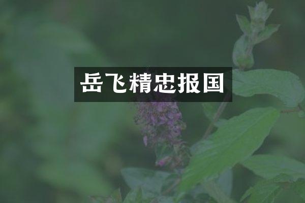 岳飞精忠报国
