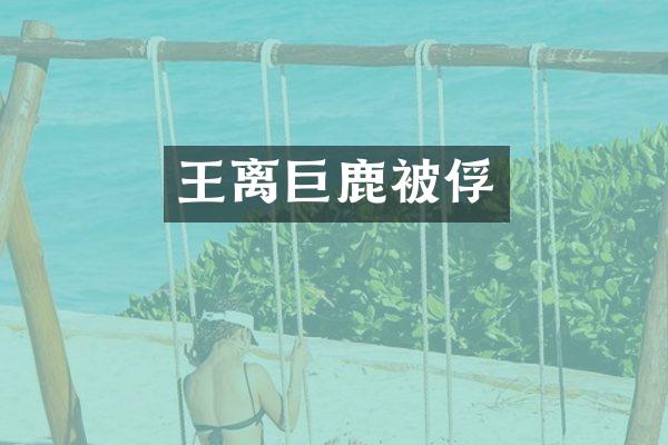 王离巨鹿