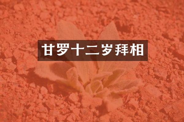 甘罗十二岁拜相