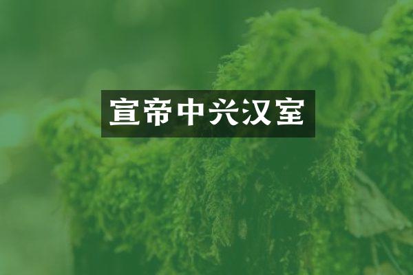 宣帝中兴汉室