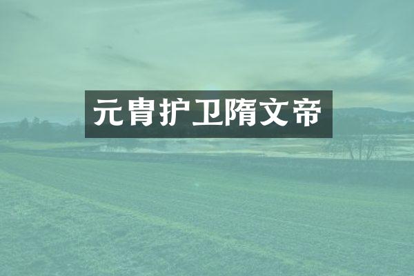 元胄护卫隋文帝