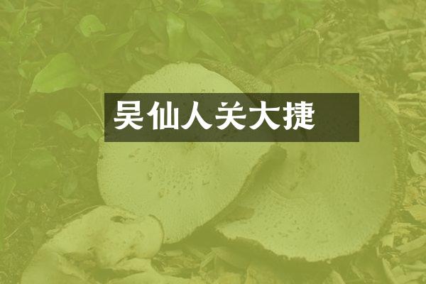 吴玠仙人关大捷