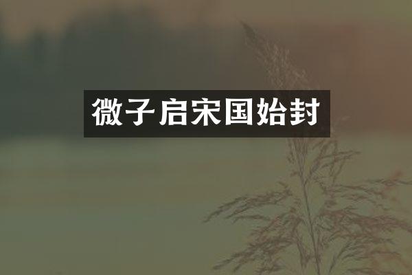 微子启宋国始封