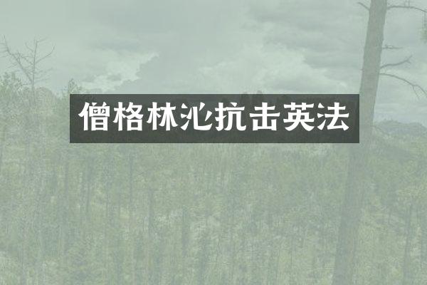 僧格林沁抗击英法