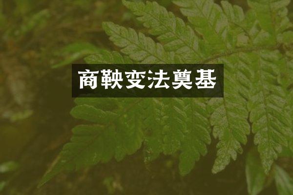 商鞅变法奠基