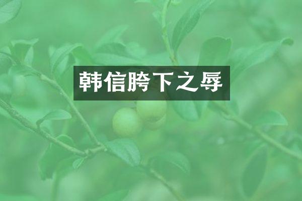 韩信胯下之辱