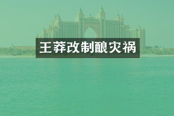 王莽改制酿灾祸