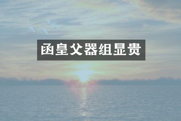 函皇父器组显贵