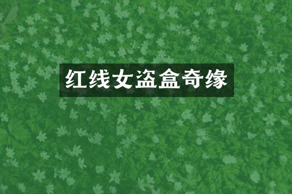 红线女盗盒奇缘
