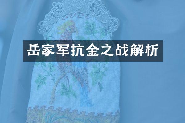 岳家军抗金之战解析
