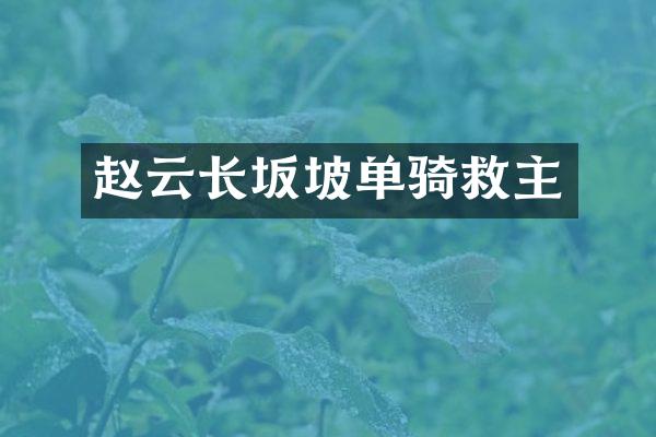 赵云长坂坡单骑救主