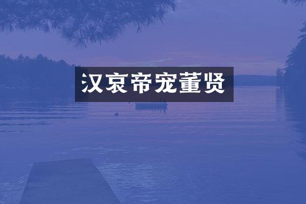 汉哀帝宠董贤