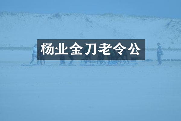 杨业金刀老令公